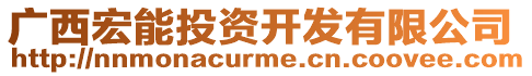 廣西宏能投資開發有限公司
