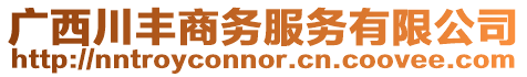 廣西川豐商務服務有限公司