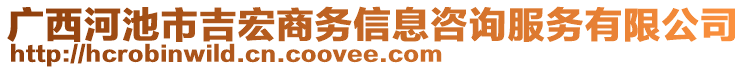 廣西河池市吉宏商務信息咨詢服務有限公司