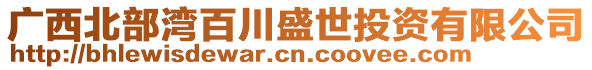 廣西北部灣百川盛世投資有限公司