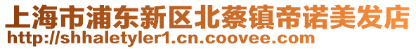 上海市浦東新區(qū)北蔡鎮(zhèn)帝諾美發(fā)店