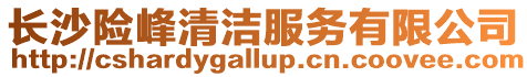 長沙險(xiǎn)峰清潔服務(wù)有限公司
