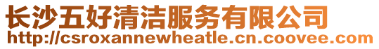 長(zhǎng)沙五好清潔服務(wù)有限公司