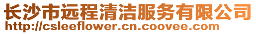 長沙市遠程清潔服務(wù)有限公司