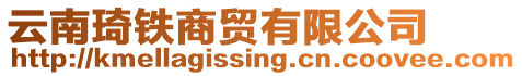 云南琦鐵商貿(mào)有限公司
