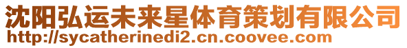 沈陽弘運未來星體育策劃有限公司