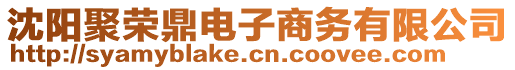 沈陽聚榮鼎電子商務有限公司