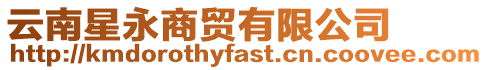 云南星永商貿有限公司