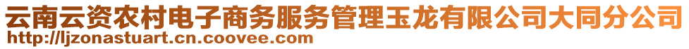 云南云資農(nóng)村電子商務(wù)服務(wù)管理玉龍有限公司大同分公司