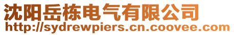 沈陽岳棟電氣有限公司