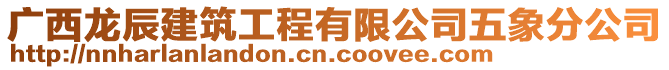 廣西龍辰建筑工程有限公司五象分公司