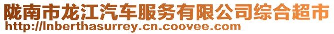 隴南市龍江汽車服務有限公司綜合超市