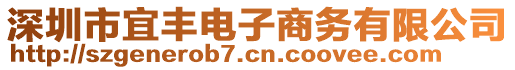 深圳市宜豐電子商務(wù)有限公司