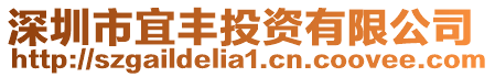 深圳市宜豐投資有限公司