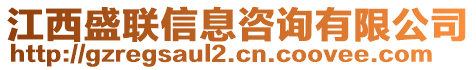 江西盛聯(lián)信息咨詢有限公司