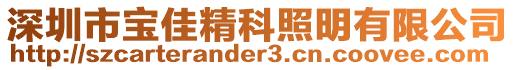 深圳市寶佳精科照明有限公司