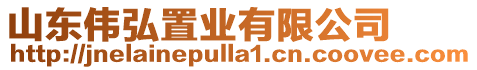 山東偉弘置業(yè)有限公司