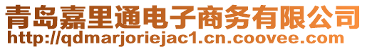 青島嘉里通電子商務(wù)有限公司