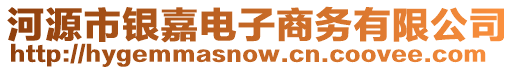 河源市銀嘉電子商務(wù)有限公司