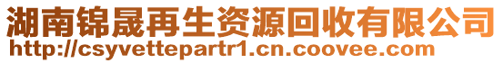 湖南錦晟再生資源回收有限公司