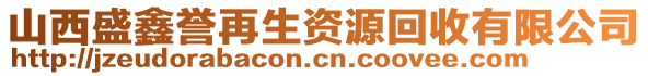 山西盛鑫譽(yù)再生資源回收有限公司