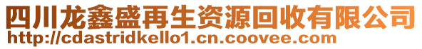 四川龍鑫盛再生資源回收有限公司