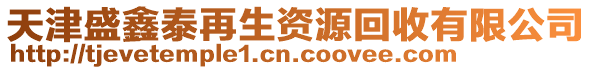 天津盛鑫泰再生資源回收有限公司