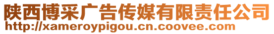 陜西博采廣告?zhèn)髅接邢挢?zé)任公司