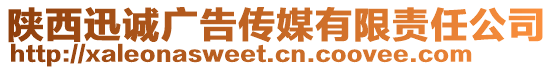 陜西迅誠(chéng)廣告?zhèn)髅接邢挢?zé)任公司