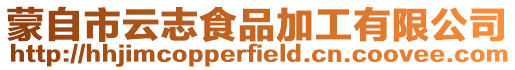 蒙自市云志食品加工有限公司