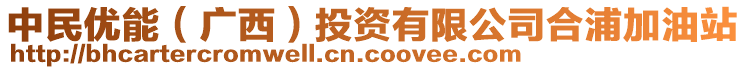 中民優(yōu)能（廣西）投資有限公司合浦加油站