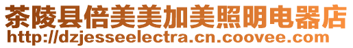 茶陵縣倍美美加美照明電器店