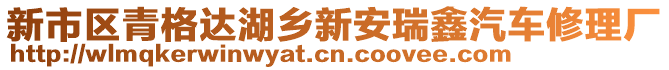 新市區(qū)青格達(dá)湖鄉(xiāng)新安瑞鑫汽車修理廠