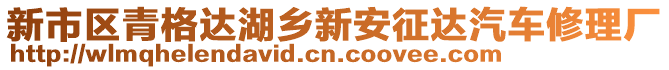 新市區(qū)青格達(dá)湖鄉(xiāng)新安征達(dá)汽車修理廠