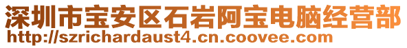 深圳市寶安區(qū)石巖阿寶電腦經(jīng)營部