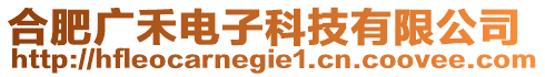 合肥廣禾電子科技有限公司