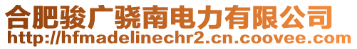 合肥駿廣驍南電力有限公司