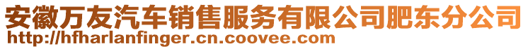 安徽萬友汽車銷售服務有限公司肥東分公司