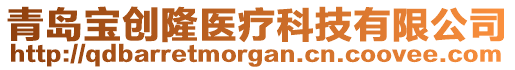 青島寶創(chuàng)隆醫(yī)療科技有限公司