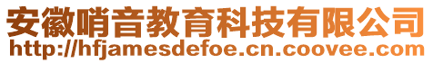 安徽哨音教育科技有限公司