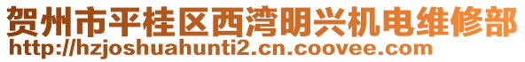 賀州市平桂區(qū)西灣明興機(jī)電維修部