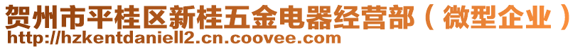 賀州市平桂區(qū)新桂五金電器經(jīng)營(yíng)部（微型企業(yè)）