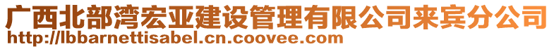 廣西北部灣宏亞建設管理有限公司來賓分公司