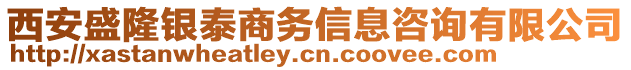 西安盛隆銀泰商務信息咨詢有限公司