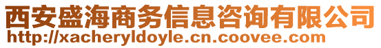 西安盛海商務(wù)信息咨詢有限公司