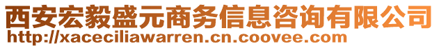 西安宏毅盛元商務(wù)信息咨詢有限公司