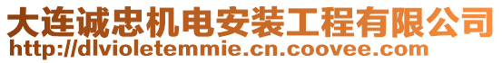 大連誠忠機(jī)電安裝工程有限公司