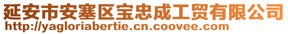 延安市安塞區(qū)寶忠成工貿有限公司