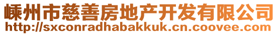 嵊州市慈善房地產開發有限公司
