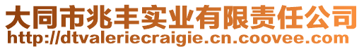 大同市兆豐實(shí)業(yè)有限責(zé)任公司